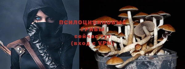 PSILOCYBIN Абинск