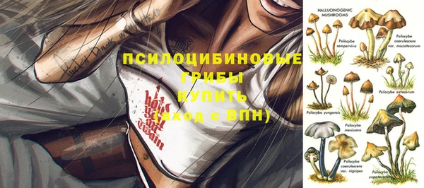 PSILOCYBIN Абинск