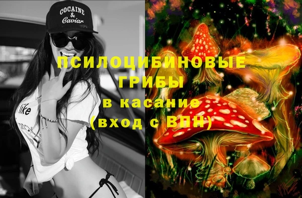 PSILOCYBIN Абинск