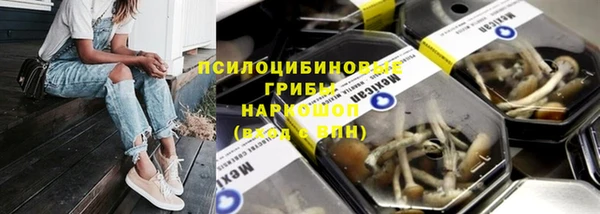 PSILOCYBIN Абинск