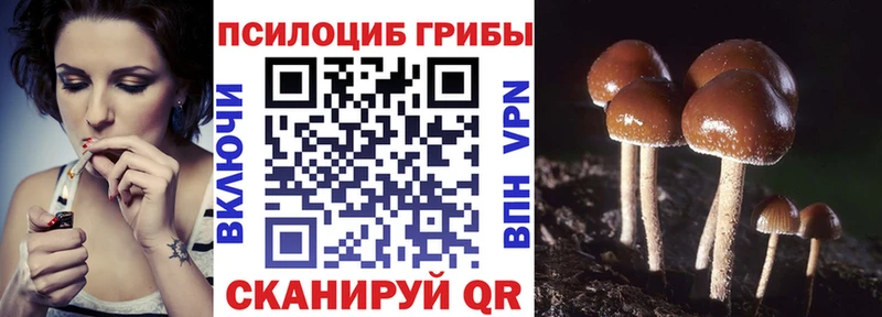 сколько стоит Игарка Галлюциногенные грибы GOLDEN TEACHER